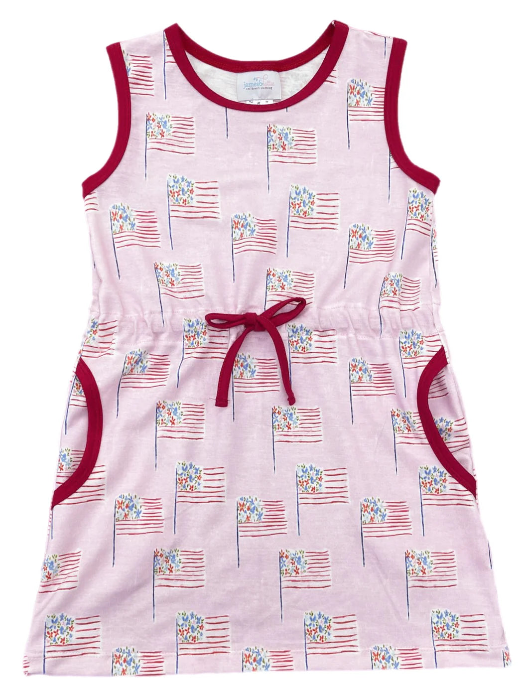 CAMILLE DRESS PATRIOTIC FLAGS