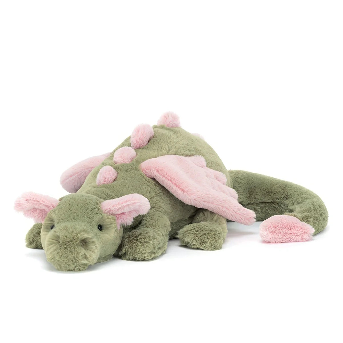 MALACHY DRAGON