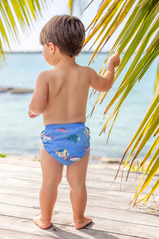 HERE FISHY FISHY BEACH BUM COVER