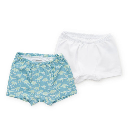 James Underwear Set - Dinosaur Dig/White