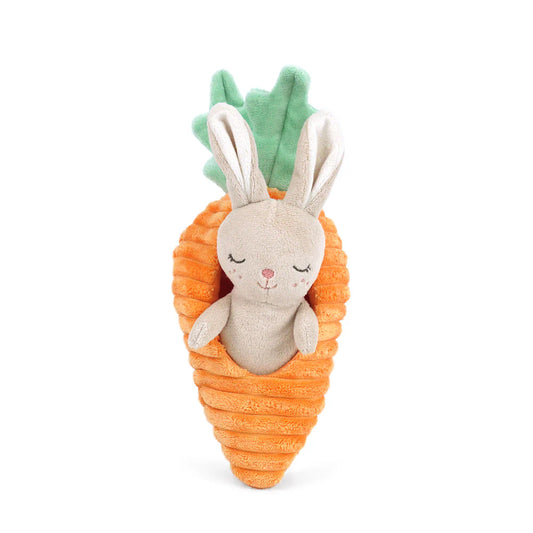 BUNNY IN CARROTT TOY