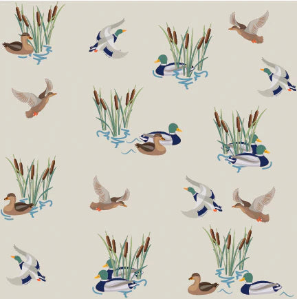 FOOTIE QUACKY ADVENTURE