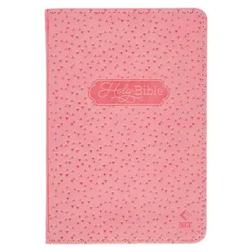 HOLY BIBLE NEW TESTAMENT